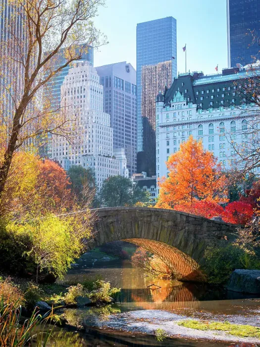 Framed Print : Central Park, Gapstow Bridge New York City, New York, USA