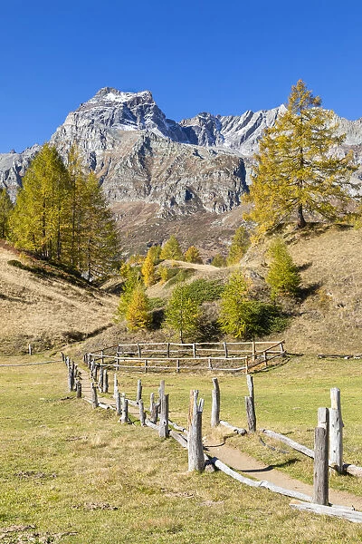 The Cervandone Peak from Alp Crampilo in autumn season, Alpe Veglia