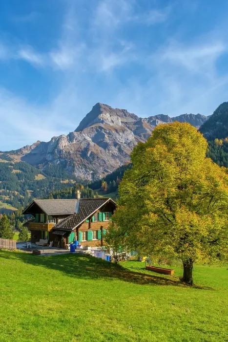 Framed Print : Chalet and tree in front of Spitzhorn, Gsteig bei Gstaad, Berner Oberland, Switzerland Framed Print : Chalet and tree in front of Spitzhorn, Gsteig bei Gstaad, Berner Oberland, Switzerland