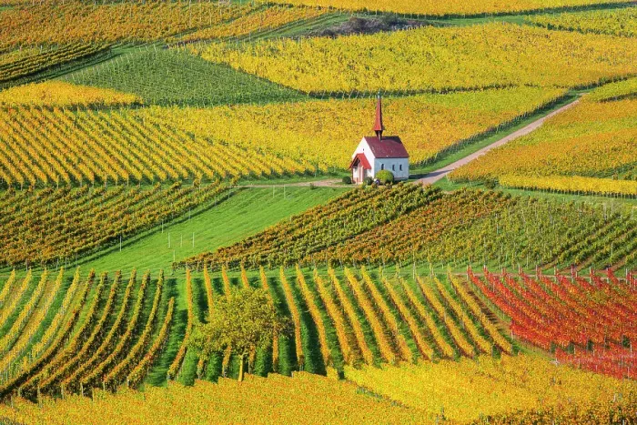 Framed Print : Chapel in the autumnal vineyards at the Keizerstuhl, Eichert Chapel, Jechtingen, Kaiserstuhl, Baden-Wuerttemberg, Germany, Europe