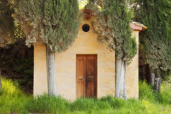 Chapel and cypress trees, Lucignano d Asso