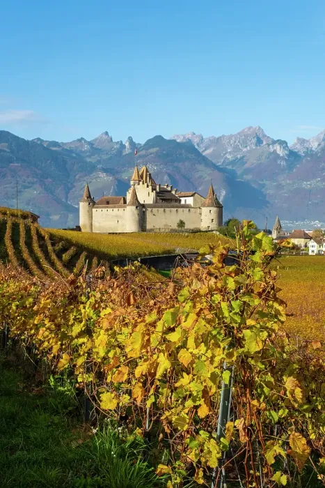 Framed Print : Chateau d'Aigle and vineyards, Aigle, Vaud, Switzerland Framed Print : Chateau d'Aigle and vineyards, Aigle, Vaud, Switzerland