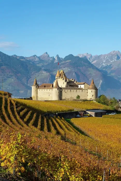 Framed Print : Chateau d'Aigle and vineyards, Aigle, Vaud, Switzerland Framed Print : Chateau d'Aigle and vineyards, Aigle, Vaud, Switzerland