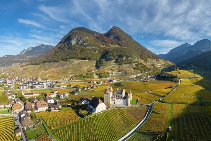 Framed Print : Chateau d'Aigle and vineyards, Aigle, Vaud, Switzerland Framed Print : Chateau d'Aigle and vineyards, Aigle, Vaud, Switzerland