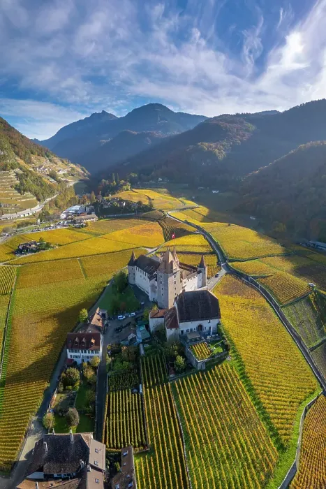 Framed Print : Chateau d'Aigle and vineyards, Aigle, Vaud, Switzerland