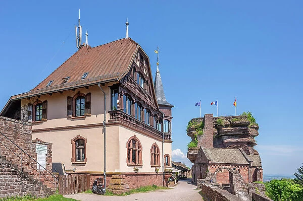 Chateau Haut-Barr near Saverne, Bas-Rhin, Alsace, Alsace-Champagne-Ardenne-Lorraine, Grand Est, France