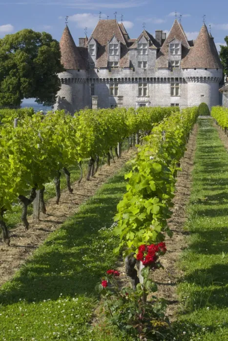 Framed Print : Chateau de Monbazillac, Dordogne, France
