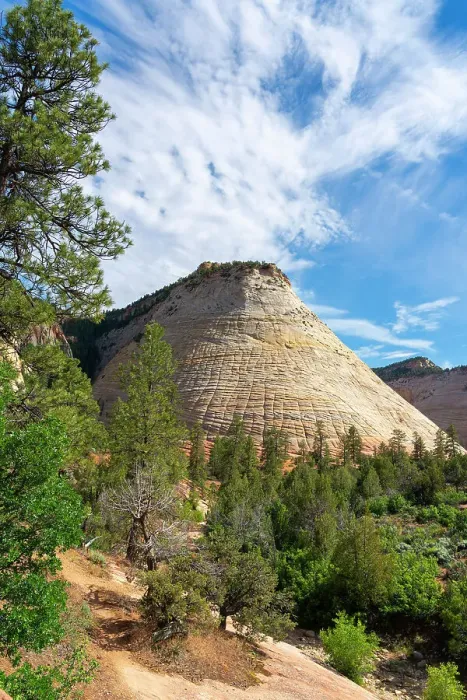 Framed Print : Checkerboard Mesa, Zion National Park, Kane County, Utah, USA Framed Print : Checkerboard Mesa, Zion National Park, Kane County, Utah, USA