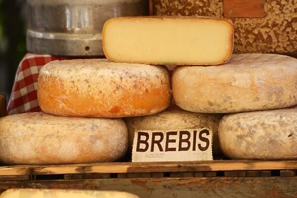 Cheese for sale at local market, L Isle sur la Sorgue, Provence Alpes Cote d Azur