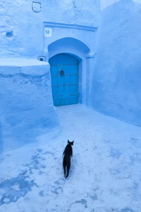 Framed Print : Chefchaouen, Morocco. The blue medina Framed Print : Chefchaouen, Morocco. The blue medina