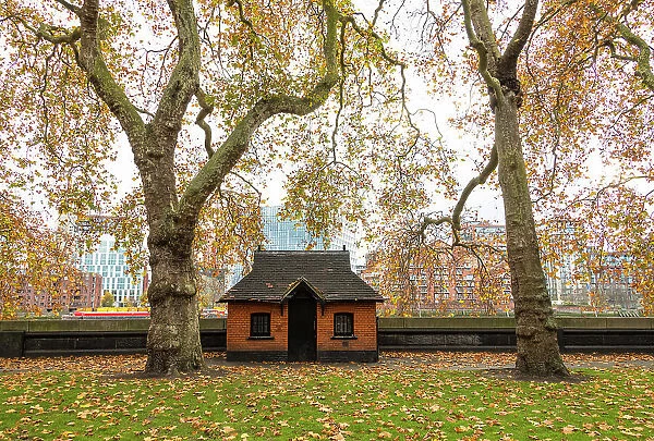 Chelsea in the autumn, London, England