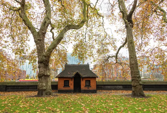 Framed Print : Chelsea in the autumn, London, England Framed Print : Chelsea in the autumn, London, England