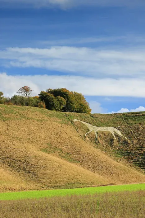 Framed Print : Cherhill White Horse, Wiltshire, England, UK Framed Print : Cherhill White Horse, Wiltshire, England, UK