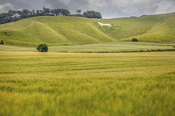 Cherill White Horse, Wiltshire, England