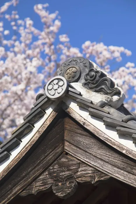 Framed Print : Cherry blossom at Kitano Tenman shrine, Kobe, Kansai, Japan