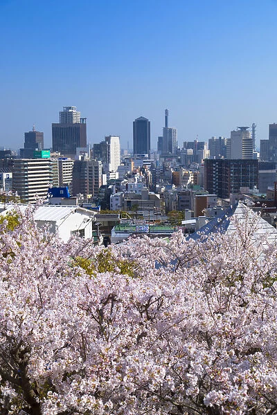 Cherry blossom and Kobe skyline, Kobe, Kansai, Japan