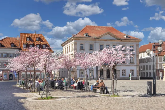 Framed Print : Cherry blossom at Rathausplatz Square, Landau in der Pfalz, German Wine Route, Rhineland-Palatinate, Germany Framed Print : Cherry blossom at Rathausplatz Square, Landau in der Pfalz, German Wine Route, Rhineland-Palatinate, Germany