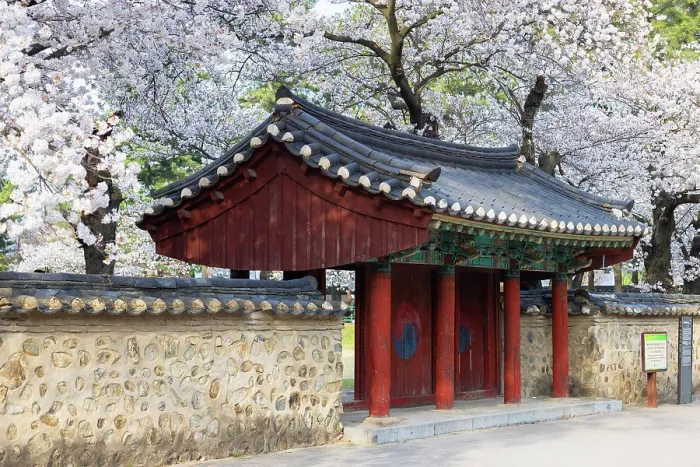 Framed Print : Cherry blossom at Royal Tomb of King Michu in Daereungwon Tomb Complex (UNESCO World Heritage Site), Gyeongju, South Korea Framed Print : Cherry blossom at Royal Tomb of King Michu in Daereungwon Tomb Complex (UNESCO World Heritage Site), Gyeongju, South Korea