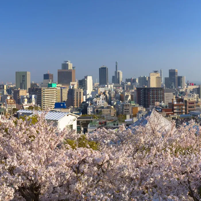 Framed Print : Cherry blossom and view of Kobe skyline, Kobe, Kansai, Japan