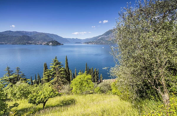 Cherry trees and meadows around the village of Varenna surrounded by Lake Como Province