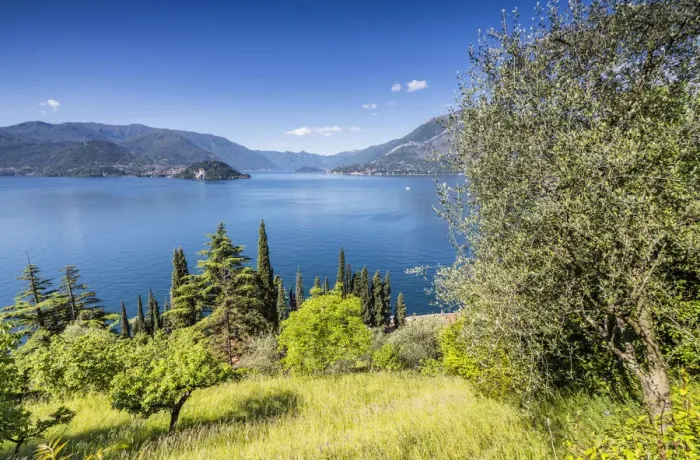 Framed Print : Cherry trees and meadows around the village of Varenna surrounded by Lake Como Province Framed Print : Cherry trees and meadows around the village of Varenna surrounded by Lake Como Province