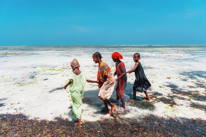 Framed Print : Children having fun at low tide, Nungwi, Zanzibar, Tanzania, Africa Framed Print : Children having fun at low tide, Nungwi, Zanzibar, Tanzania, Africa