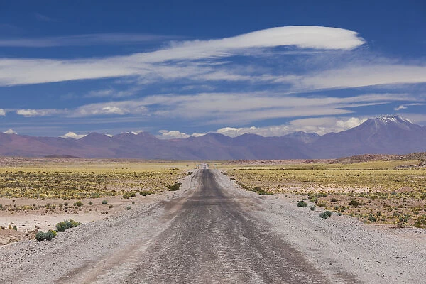 Chile, Atacama Desert, Laguna Miscanti, desert road