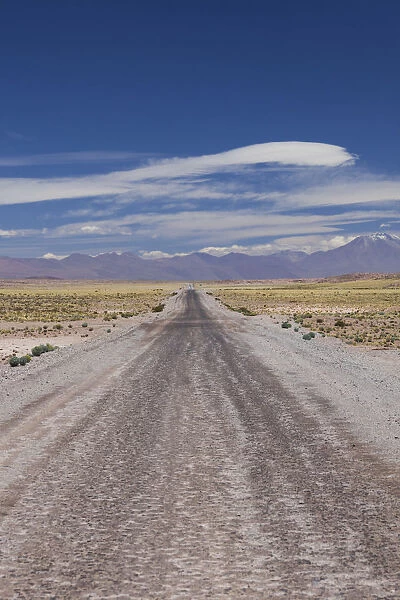 Chile, Atacama Desert, Laguna Miscanti, desert road