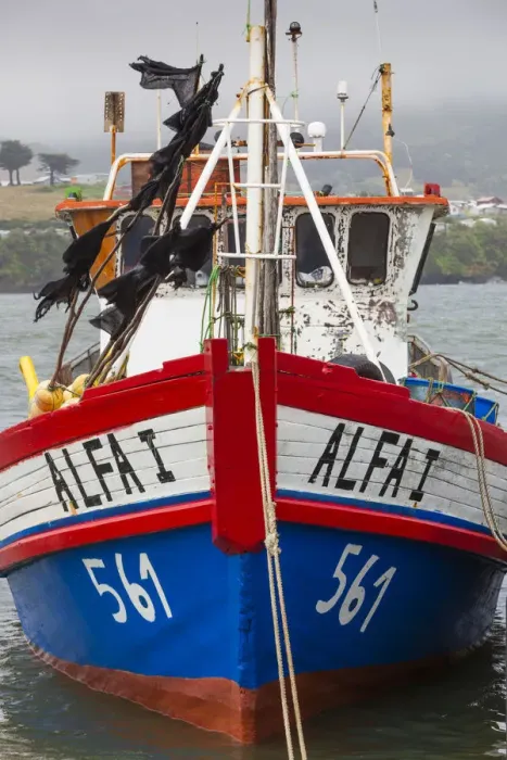 Framed Print : Chile, Chiloe Island, Ancud, fishing boats Framed Print : Chile, Chiloe Island, Ancud, fishing boats