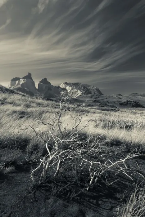 Framed Print : Chile, Magallanes Region, Torres del Paine National Park, landscape by Salto Grande Framed Print : Chile, Magallanes Region, Torres del Paine National Park, landscape by Salto Grande