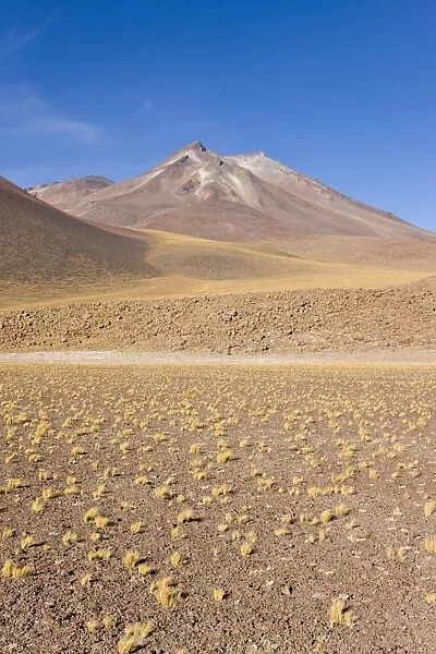 Chile, Norte Grande, Antofagasta Region, Atacama desert