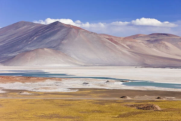 Chile, Norte Grande, Antofagasta Region, Atacama desert, Los Flamencos National Reserve
