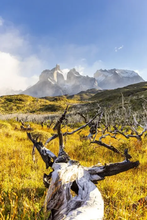 Framed Print : Chile, Patagonia, Magallanes and the Chilean region of Antarctica, Ultima Esperanza