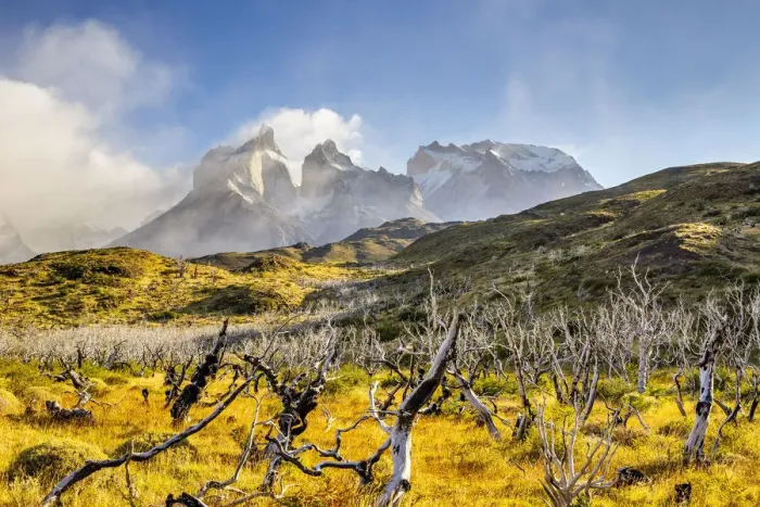 Framed Print : Chile, Patagonia, Magallanes and the Chilean region of Antarctica, Ultima Esperanza Framed Print : Chile, Patagonia, Magallanes and the Chilean region of Antarctica, Ultima Esperanza