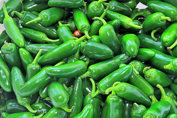 Chili peppers at farmer's market Winnipeg, Manitoba, Canada