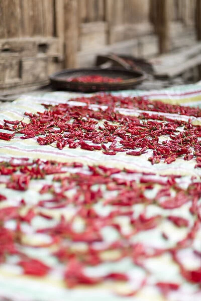 Chillies drying, Longji, China