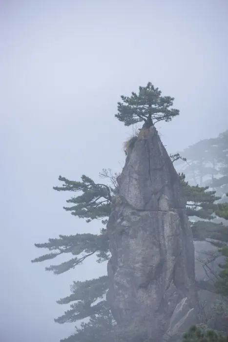 Framed Print : China, Anhui Province, UNESCO World Heritage Site, Mount Huangshan, National Park Framed Print : China, Anhui Province, UNESCO World Heritage Site, Mount Huangshan, National Park