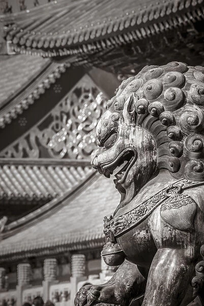 China, Beijing, Forbidden City, Lion outside Gate of Supreme Harmony
