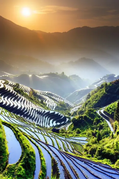 Framed Print : China, Guangxi Province, Longsheng, Long Ji rice terrace filled with water in Framed Print : China, Guangxi Province, Longsheng, Long Ji rice terrace filled with water in