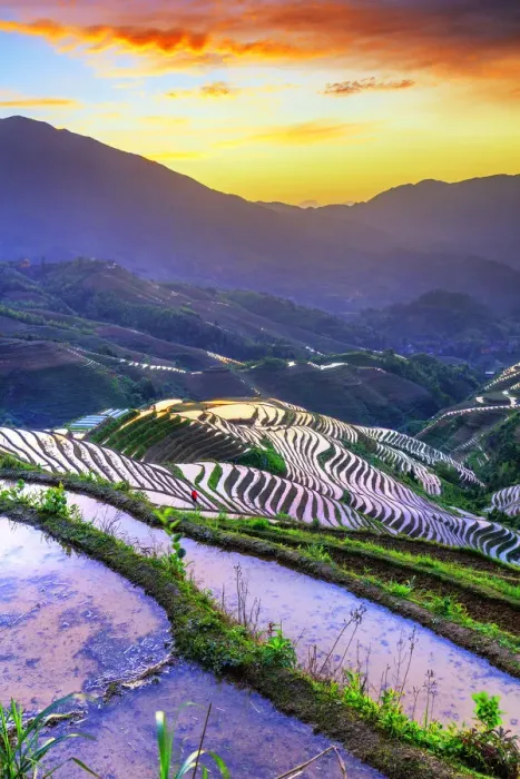 Framed Print : China, Guangxi Province, Longsheng, Long Ji rice terrace filled with water in Framed Print : China, Guangxi Province, Longsheng, Long Ji rice terrace filled with water in