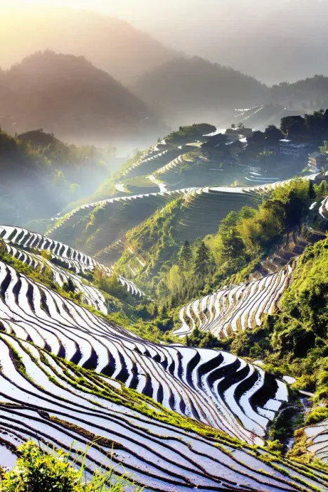 Framed Print : China, Guangxi Province, Longsheng, Long Ji rice terrace filled with water in Framed Print : China, Guangxi Province, Longsheng, Long Ji rice terrace filled with water in