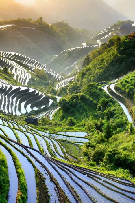 Framed Print : China, Guangxi Province, Longsheng, Long Ji rice terrace filled with water in Framed Print : China, Guangxi Province, Longsheng, Long Ji rice terrace filled with water in
