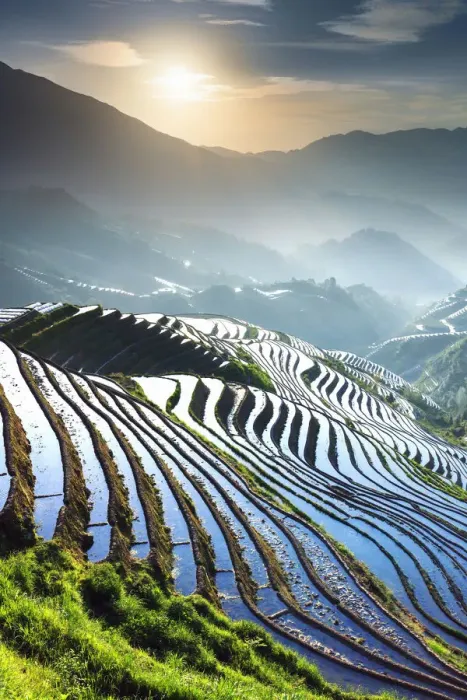 Framed Print : China, Guangxi Province, Longsheng, Long Ji rice terrace filled with water in Framed Print : China, Guangxi Province, Longsheng, Long Ji rice terrace filled with water in