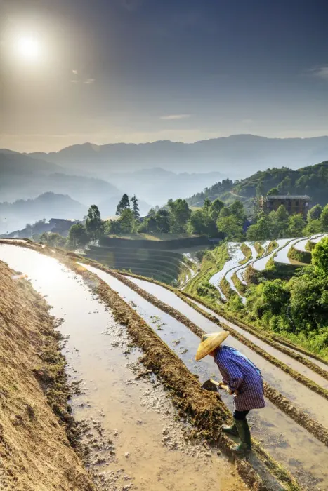Framed Print : China, Guangxi Province, Longsheng, a farmer wearing a traditional hat working