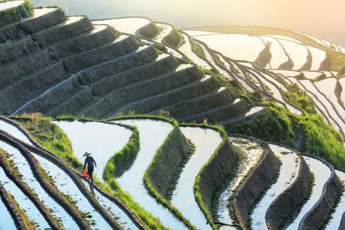 Framed Print : China, Guangxi Province, Longsheng, Long Ji rice terrace filled with water in Framed Print : China, Guangxi Province, Longsheng, Long Ji rice terrace filled with water in