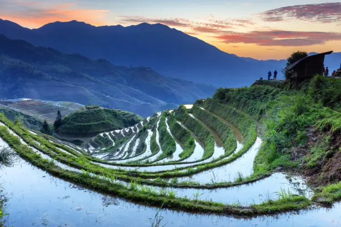 Framed Print : China, Guangxi Province, Longsheng, Long Ji rice terrace filled with water in Framed Print : China, Guangxi Province, Longsheng, Long Ji rice terrace filled with water in