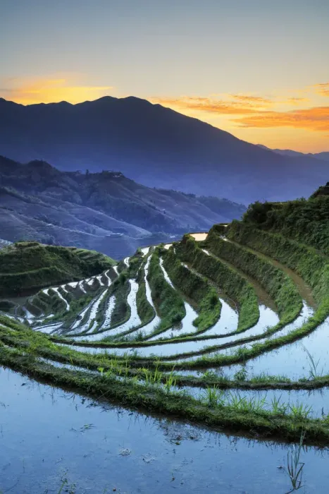 Framed Print : China, Guangxi Province, Longsheng, Long Ji rice terrace filled with water in Framed Print : China, Guangxi Province, Longsheng, Long Ji rice terrace filled with water in