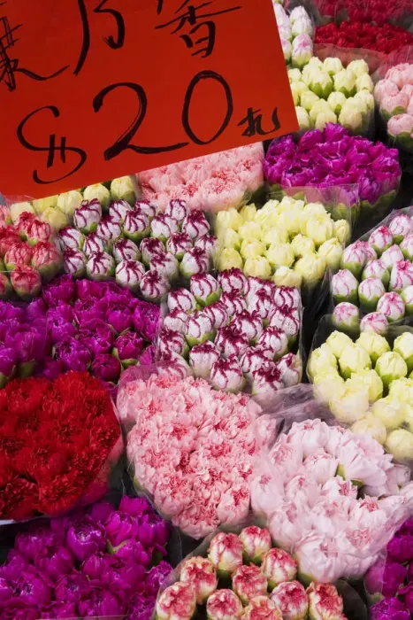 Framed Print : China, Hong Kong, Kowloon, flower market Framed Print : China, Hong Kong, Kowloon, flower market