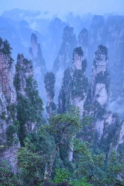 China, Hunan Province, Wulingyuan, Wuling Mountain