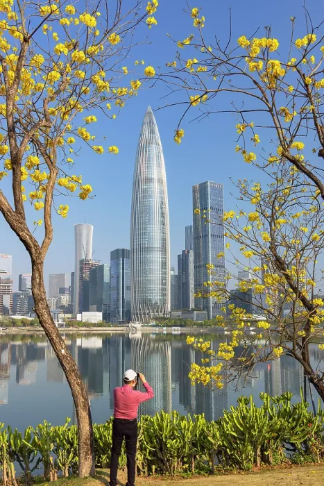 Framed Print : China Resources Building and skyline from Talent Park, Shenzhen Bay, Shenzhen, Guangdong, China